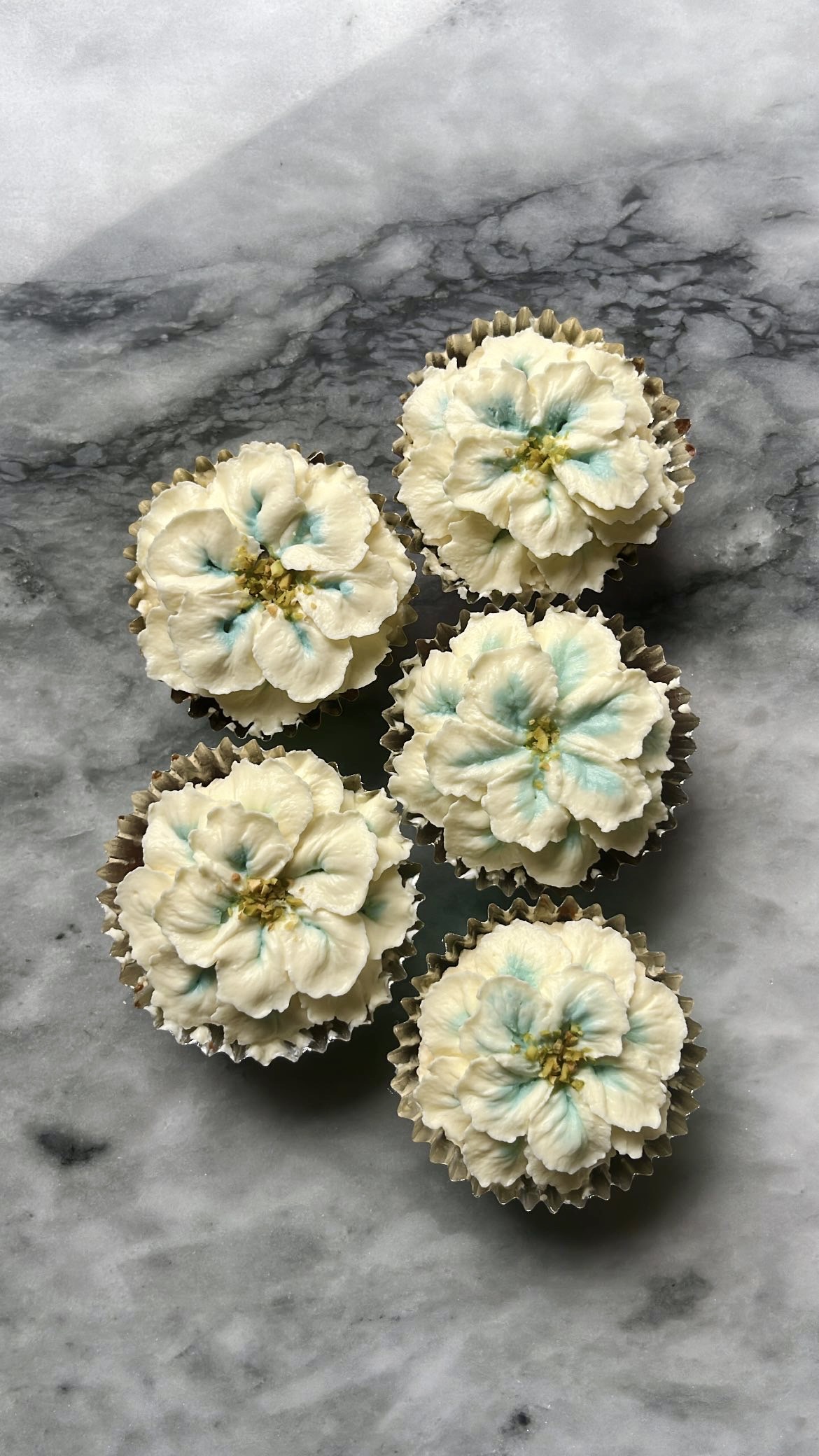 Cupcakes topped with white and blue flower-shaped cream piping